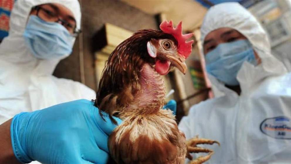 أول وفاة بشرية بمتحور من "إنفلونزا الطيور"